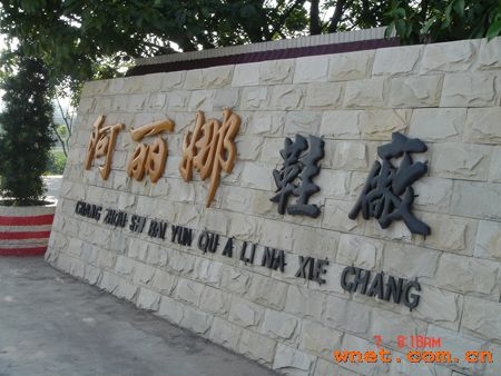 Ŵ