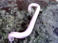 Ŵ