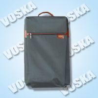 Fasion Trolley Luggage