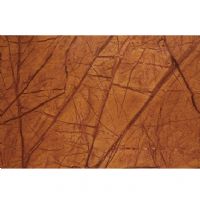 ľ��ֽ��װ��ֽ