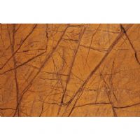 ľ��ֽ��װ��ֽ