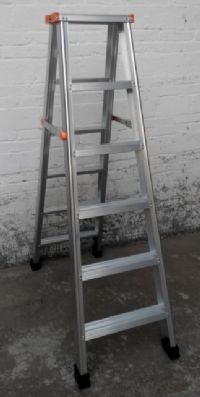 ���ͼ���100KG��˫�����Ͻ�̤����